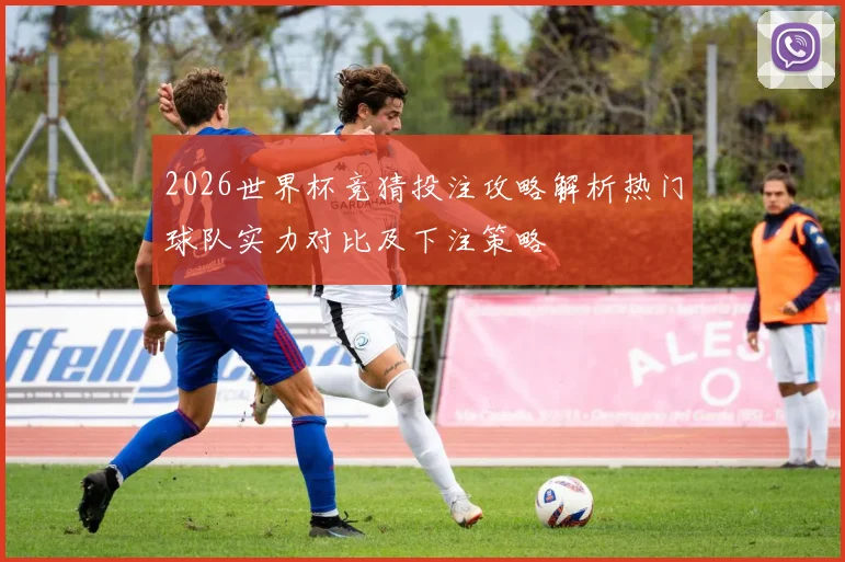 2026世界杯竞猜投注攻略解析热门球队实力对比及下注策略