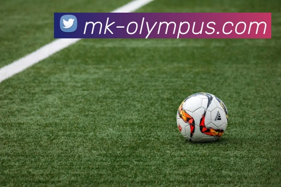 MK体育平台展示图